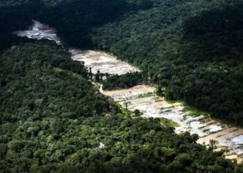 Unprecedented Alliance Launched Against Criminal Networks in the Amazon