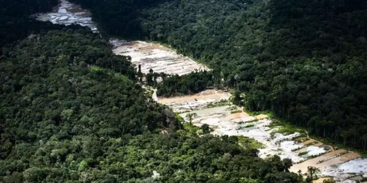 Unprecedented Alliance Launched Against Criminal Networks in the Amazon