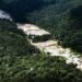 Unprecedented Alliance Launched Against Criminal Networks in the Amazon