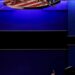 Biden and Trump Agree on Rules for First TV Debate Without Studio Audience