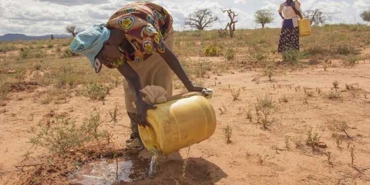 Climate Change Impacts Across the Continent