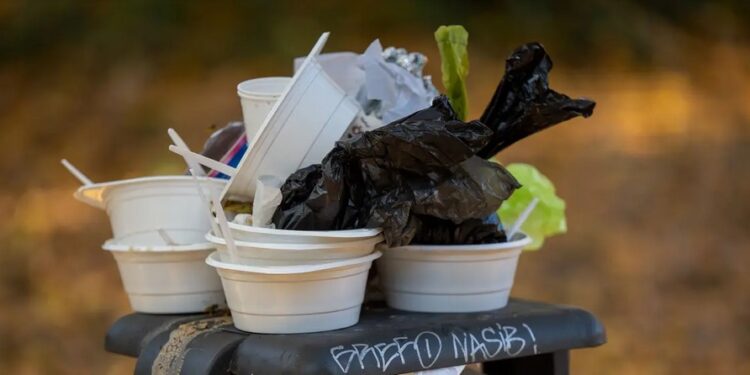 EU’s Fight Against Plastic Pollution: New Strategies and Challenges