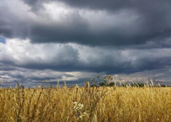 Weather Forecast for September 9 in Ukraine: Rain and Thunderstorms Expected