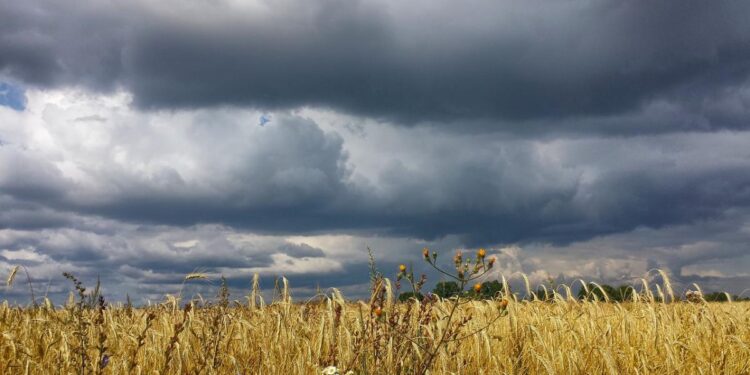 Weather Forecast for September 9 in Ukraine: Rain and Thunderstorms Expected