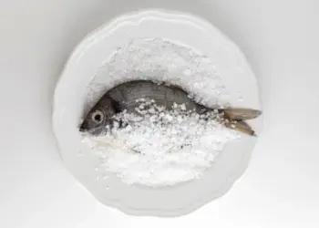 MSG: Myth or Fact? Understanding the Truth Behind Monosodium Glutamate