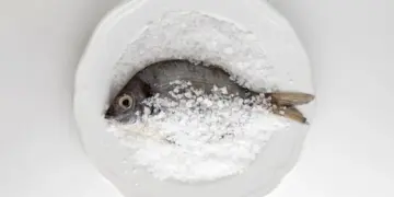 MSG: Myth or Fact? Understanding the Truth Behind Monosodium Glutamate